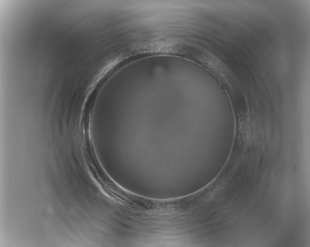 X0000065980674200603031155