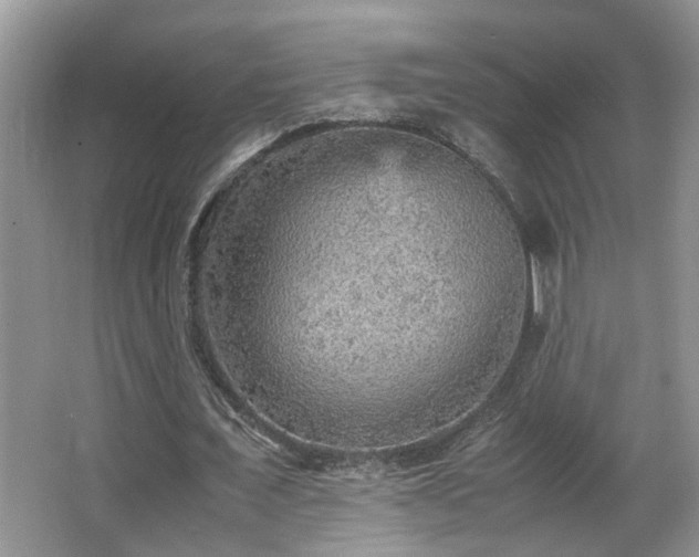 X0000065980675200603031155