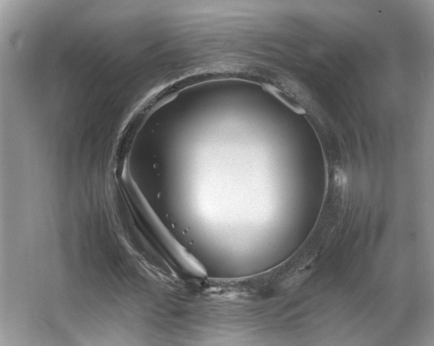 X0000065980676200603031155