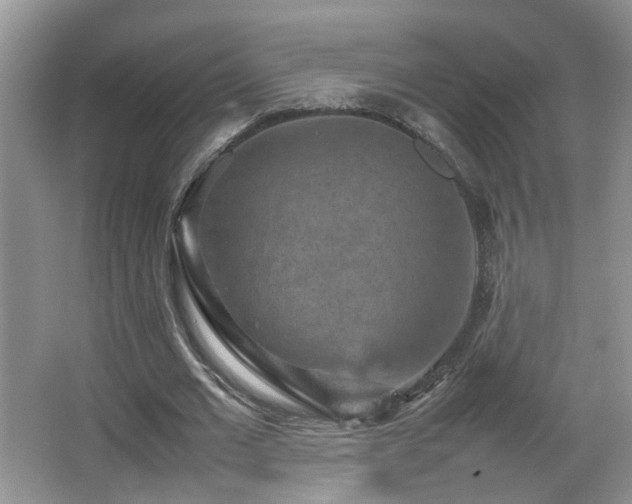 X0000065980677200603031155