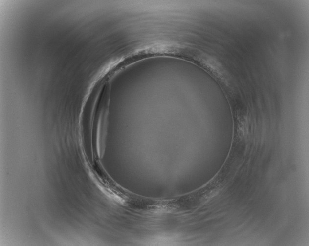 X0000065980678200603031155