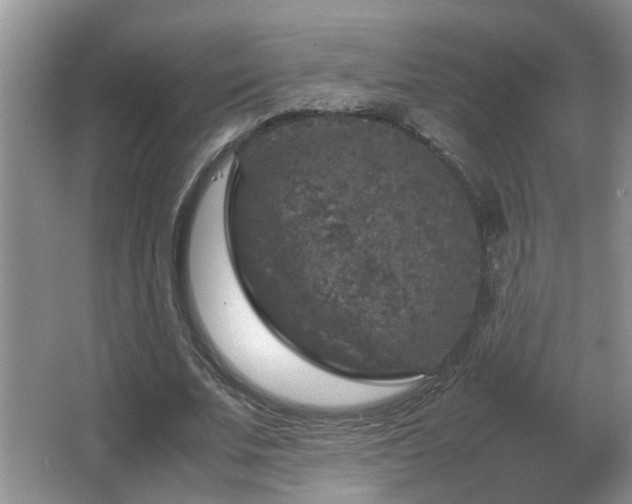 X0000065980679200603031155