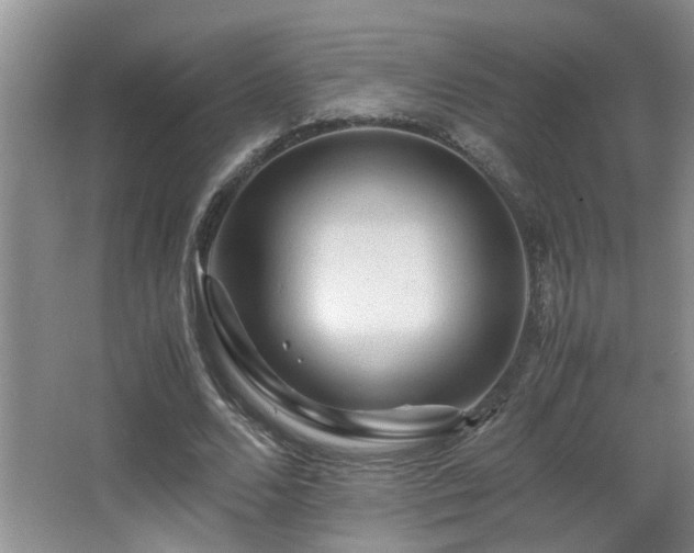 X0000065980680200603031155