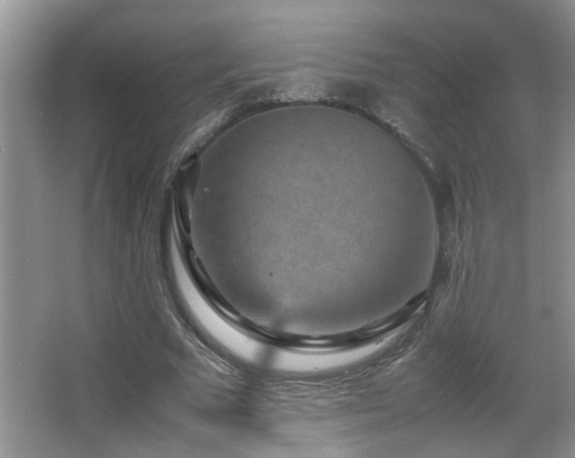 X0000065980681200603031155