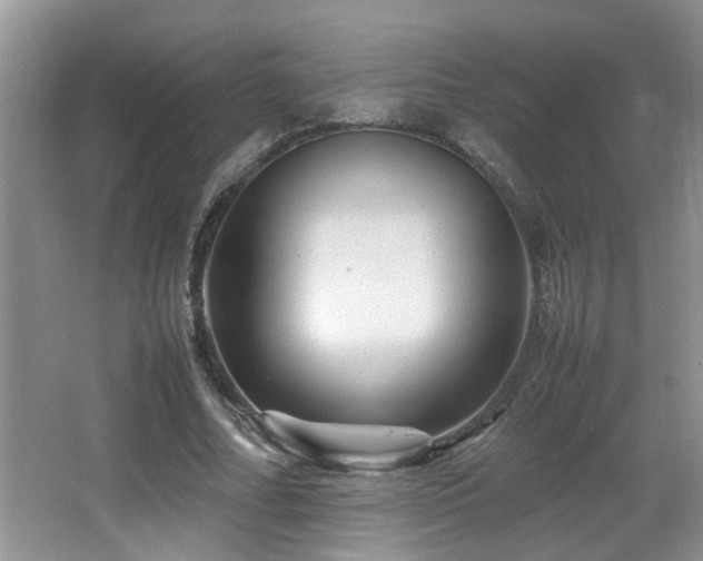 X0000065980682200603031155