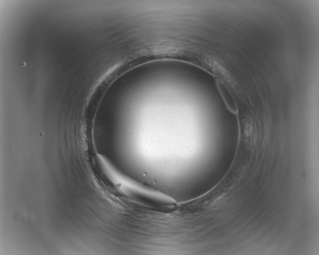 X0000065980684200603031155