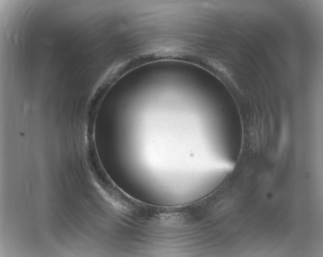 X0000065980686200603031155