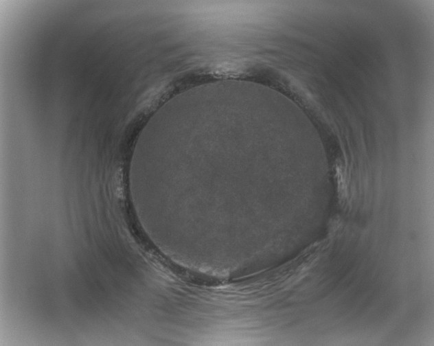 X0000065980689200603031155