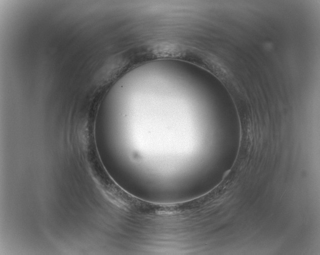 X0000065980690200603031155