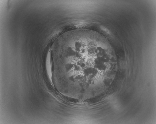 X0000065980691200603031155