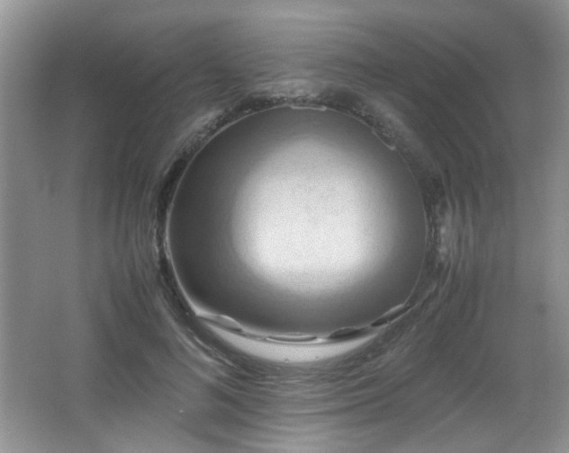 X0000065980692200603031155