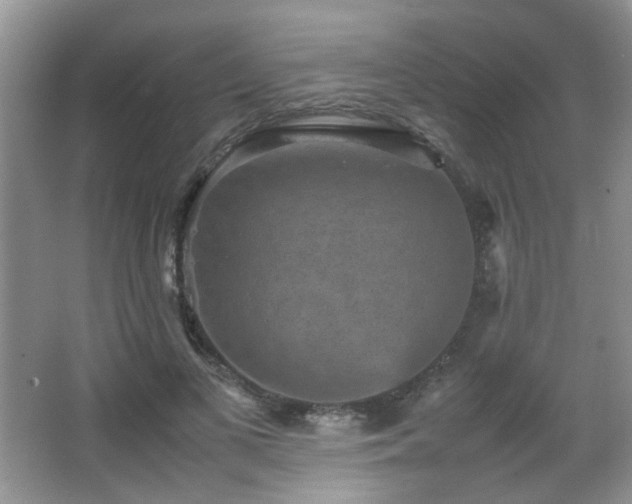 X0000065980693200603031155