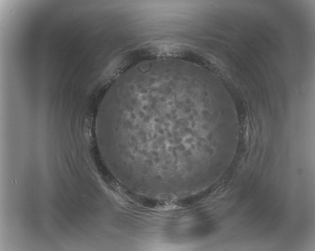 X0000065980695200603031155