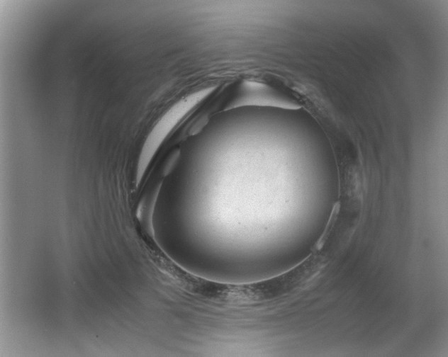 X0000065980697200603031155