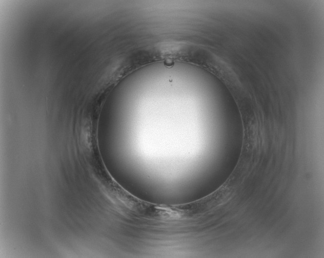 X0000065980698200603031155