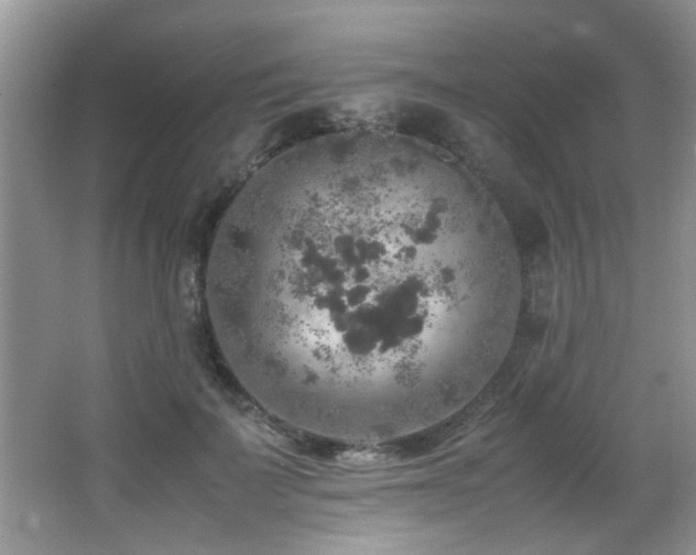 X0000065980699200603031155