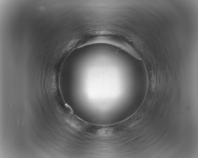 X0000065980700200603031155