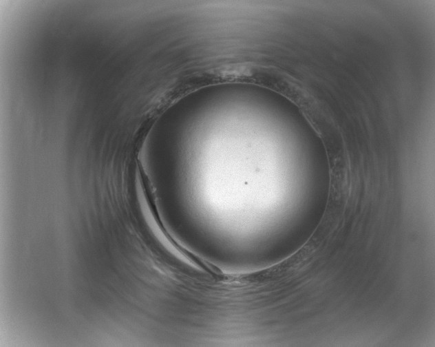 X0000065980704200603031155