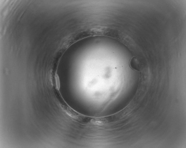 X0000065980706200603031155