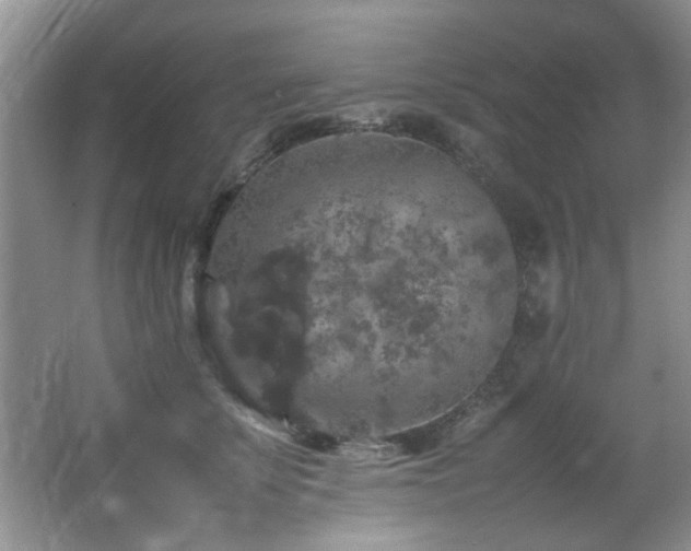 X0000065980707200603031155