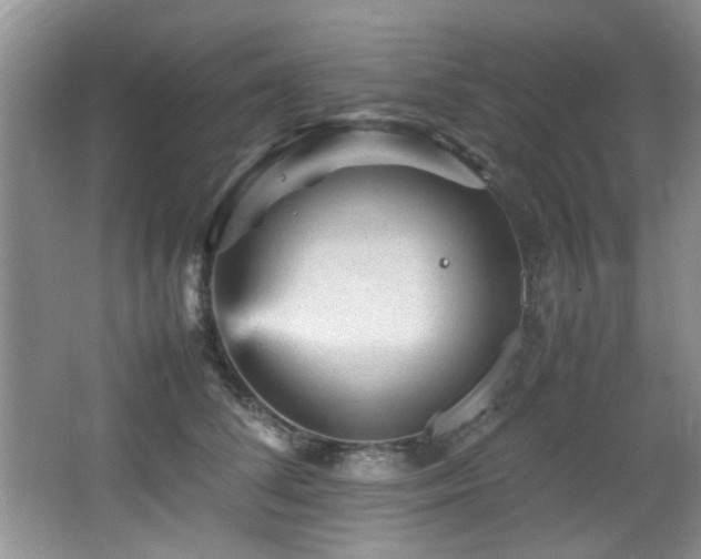 X0000065980708200603031155