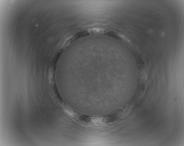 X0000065980709200603031155