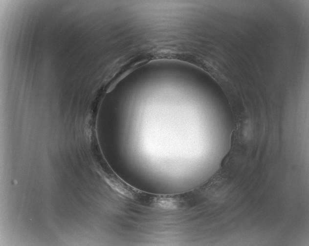 X0000065980710200603031155