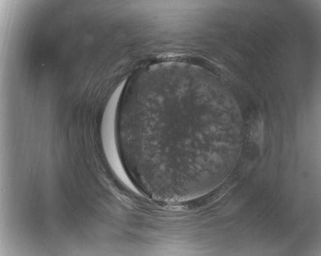 X0000065980711200603031155