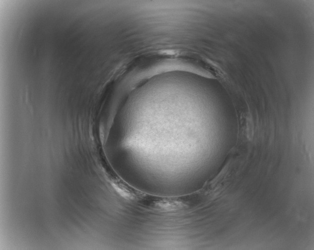 X0000065980712200603031155