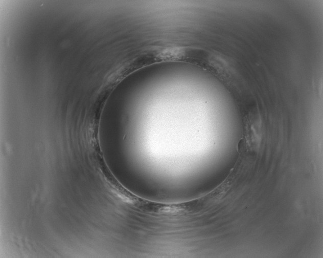 X0000065980714200603031155