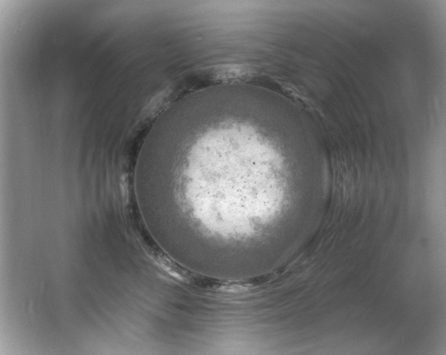 X0000065980716200603031155