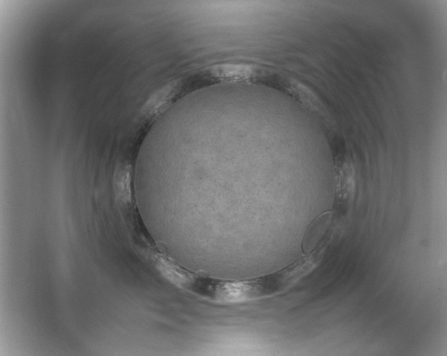 X0000065980717200603031154