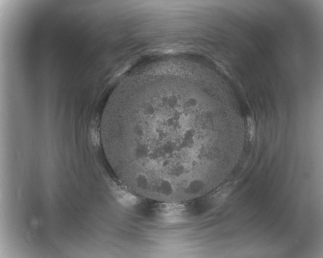 X0000065980719200603031154