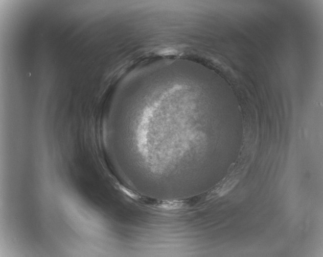 X0000065980720200603031154