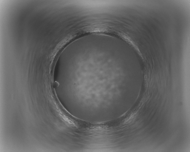 X0000065980721200603031154