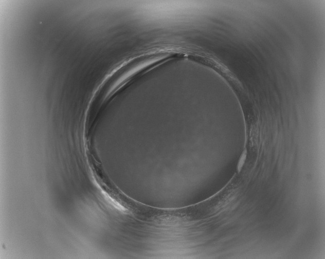 X0000065980722200603031154