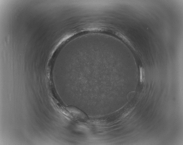 X0000065980723200603031154