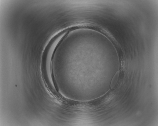 X0000065980724200603031154