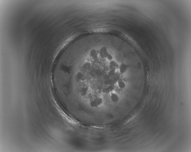 X0000065980725200603031154