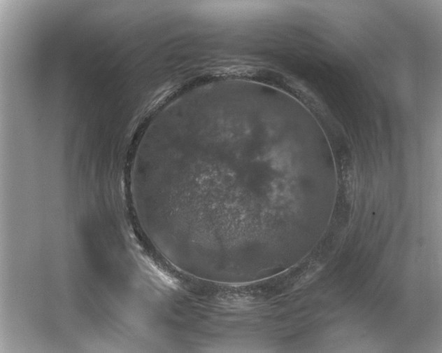 X0000065980729200603031154