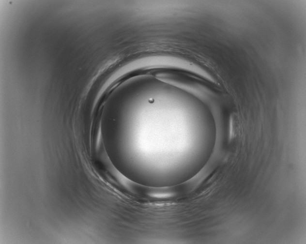 X0000065980731200603031154