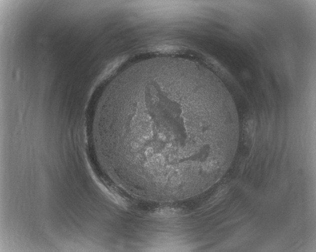 X0000065980734200603031154