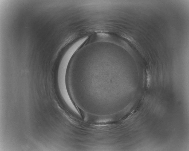 X0000065980735200603031154