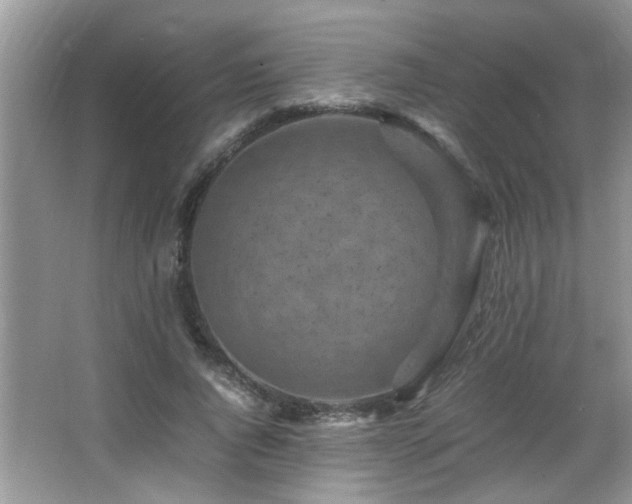 X0000065980736200603031154