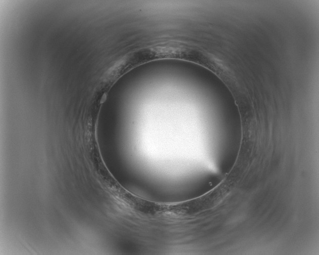 X0000065980737200603031154