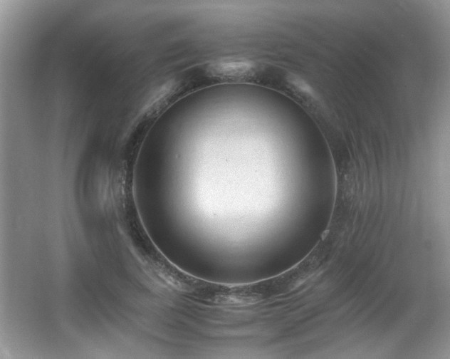 X0000065980739200603031154