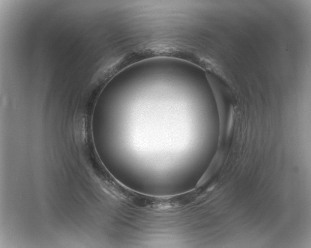 X0000065980740200603031154