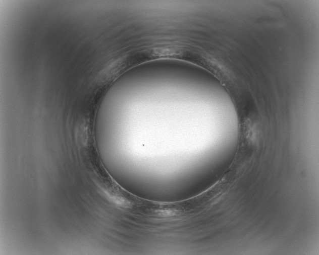 X0000065980741200603031154