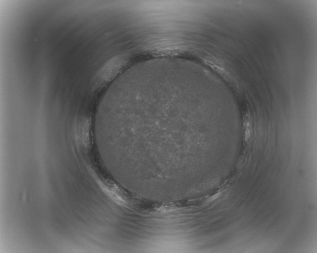 X0000065980742200603031154