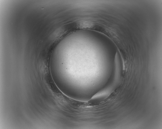 X0000065980743200603031154